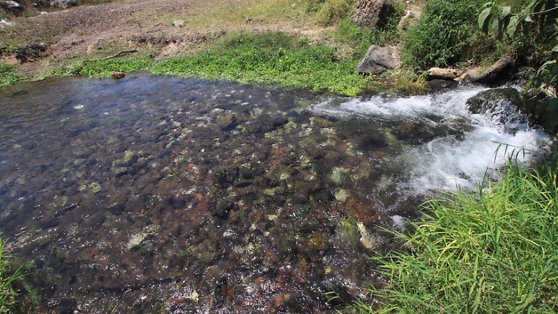 Manantial El Castillo